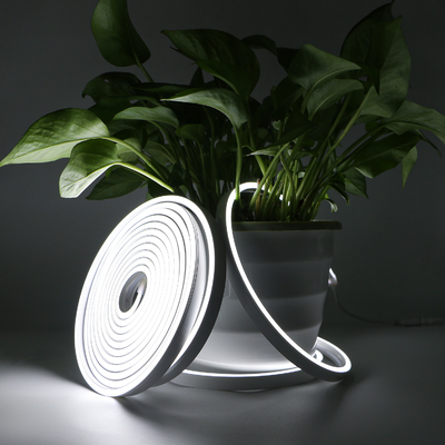 20×10mm LED Neon-Biegen hell, wasserdichtes Biegenibles helles Neonseil IP67