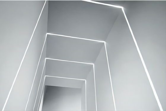 IP68 LED Streifen im Freien wasserdichte 20×14mm des Licht-Silikon-Rohr-LED